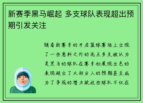 新赛季黑马崛起 多支球队表现超出预期引发关注